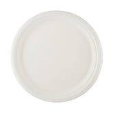 Bio-Degradable Plate